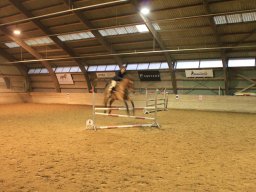 img_0638_web
